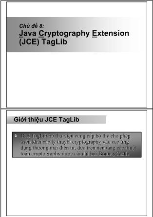 An toàn thông tin - Chủ đề 8: Java Cryptography Extension (JCE) TagLib