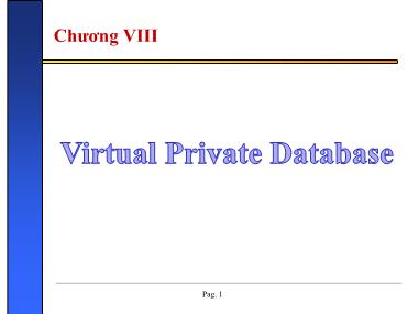 Bài giảng Bảo mật cơ sở dữ liệu - Chương VIII: Virtual Private Database