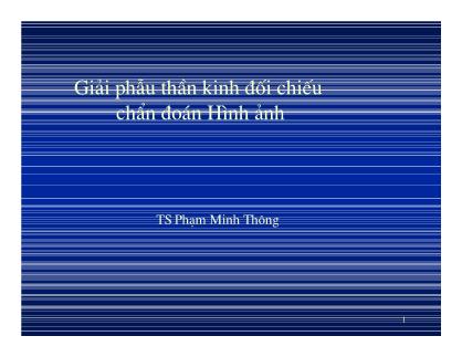 Bài giảng Giải phẫu thần kinh đối chiếu chẩn đoán Hình ảnh -TS. Phạm Minh Thông