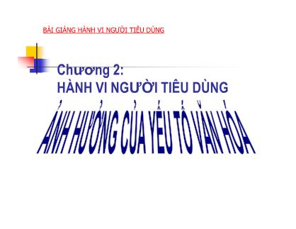 Bài giảng Hành vi người tiêu dùng - Chương 2: Hành vi người tiêu dùng ảnh hưởng của yếu tố văn hóa