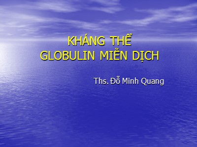 Bài giảng Kháng thể Globulin miễn dịch - Ths. Đỗ Minh Quang