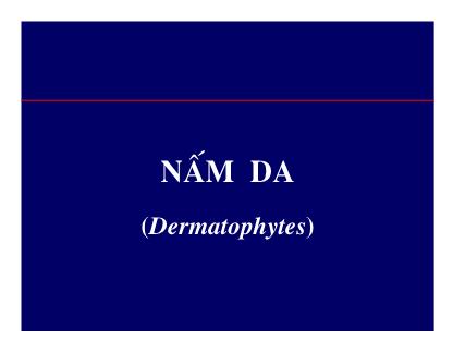 Bài giảng Kí sinh trùng - Nấm da (Dermatophytes)