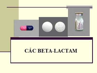 Bài giảng về Các Beta-Lactam