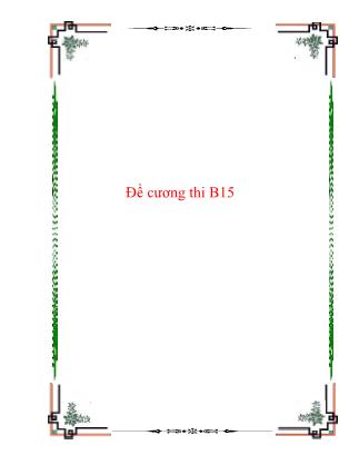 Đề cương thi B15