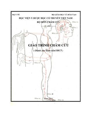 Giáo trình Châm cứu