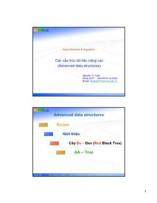 Bài giảng Cấu trúc dữ liệu và giải thuật: Các cấu trúc dữ liệu nâng cao (Advanced data structures) - Nguyễn Tri Tuấn