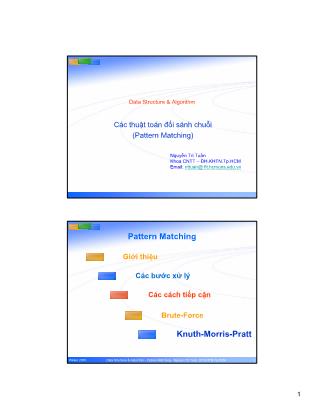 Bài giảng Cấu trúc dữ liệu và giải thuật: Các thuật toán đối sánh chuỗi (Pattern Matching) - Nguyễn Tri Tuấn