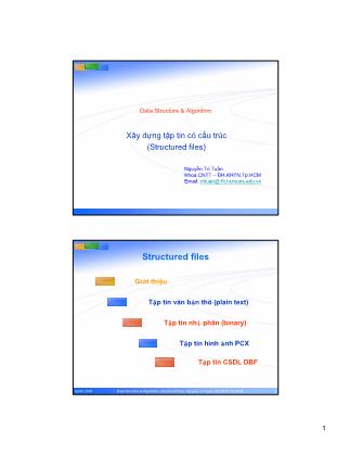Bài giảng Cấu trúc dữ liệu và giải thuật: Xây dựng tập tin có cấu trúc (Structured files) - Nguyễn Tri Tuấn