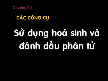 Bài giảng Bảo tồn đa dạng sinh học - Chương 5.1: Các công cụ Sử dụng hóa sinh và đánh dấu phân tử - TS. Viên Ngọc Nam