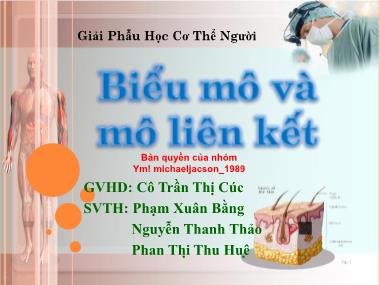 Bài giảng Biểu mô và mô liên kết