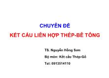 Bài giảng Chuyên đề Kết cấu liên hợp thép-Bê tông - TS. Nguyễn Hồng Sơn