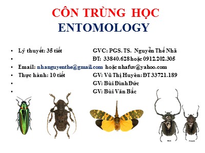 Bài giảng Côn trùng học Entomology - PGS. TS.  Nguyễn Thế Nhã