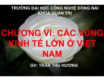 Bài giảng Địa lý kinh tế Việt Nam - Chương 6: Các vùng kinh tế lớn ở Việt Nam - Trần Thu Hương