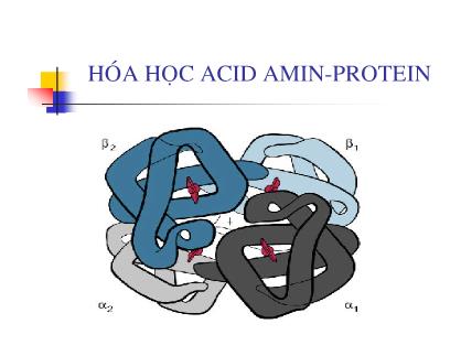 Bài giảng Hóa học Acid Amin - Protein