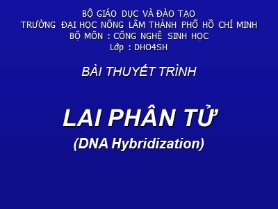 Bài giảng Lai phân tử (DNA Hybridization)