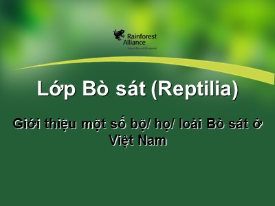 Bài giảng Lớp Bò sát (Reptilia)