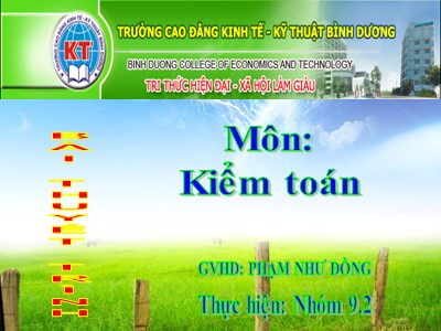 Bài giảng môn Kiểm toán