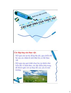 Bài giảng Sinh học đại cương: Các đáp ứng của thực vật