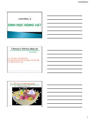 Bài giảng Sinh học đại cương (General Biology) - Chương 4: Sinh học động vật - Nguyễn Thành Luân