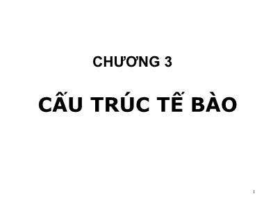 Bài giảng Sinh học đại cương - Phần 1: Sinh học tế bào - Chương 3: Cấu trúc tế bào