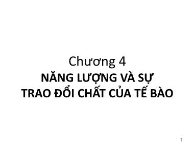 Bài giảng Sinh học đại cương - Phần 1: Sinh học tế bào - Chương 4: Năng lượng và sự trao đổi chất của tế bào