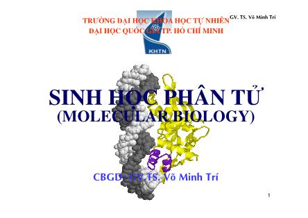 Bài giảng Sinh học phân tử (Molecular Biology) - TS. Võ Minh Trí