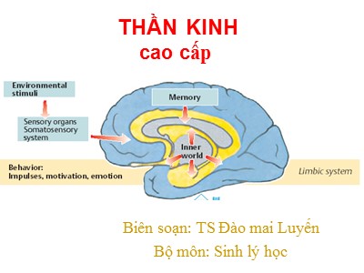 Bài giảng Sinh lý học - Thần kinh cao cấp - TS. Đào Mai Luyến