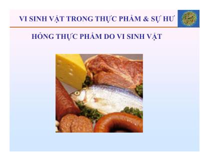 Bài giảng Vi sinh thực phẩm - Chương 11: Vi sinh vật trong thực phẩm & sự hư hỏng thực phẩm do vi sinh vật