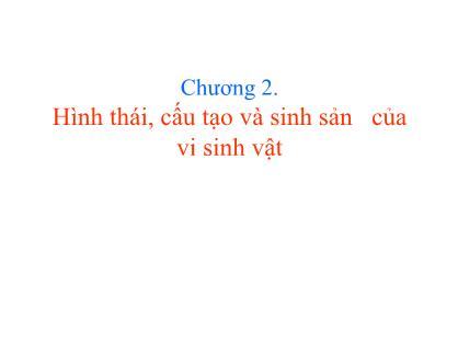 Bài giảng Vi sinh thực phẩm - Chương 2: Hình thái, cấu tạo và sinh sản của vi sinh vật