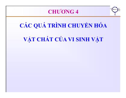 Bài giảng Vi sinh thực phẩm - Chương 4: Các quá trình chuyển hóa của vi sinh vật