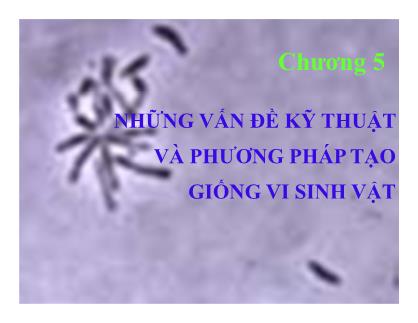 Bài giảng Vi sinh thực phẩm - Chương 5: Những vấn đề kỹ thuật và phương pháp tạo giống vi sinh vật