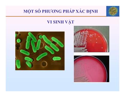 Bài giảng Vi sinh thực phẩm - Chương 6: Một số phương pháp xác định vi sinh vật