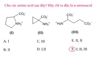 Bài tập đại cương Amino Acid