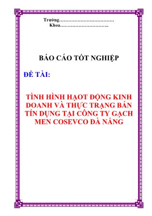 Báo cáo Tình hình hoạt động kinh doanh và thực trạng bán tín dụng tại Công ty gạch men Cosevco Đà Nẵng