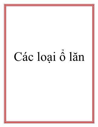 Các loại ổ lăn