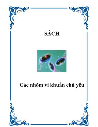 Các nhóm vi khuẩn chủ yếu