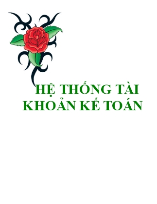 Hệ thống tài khoản kế toán