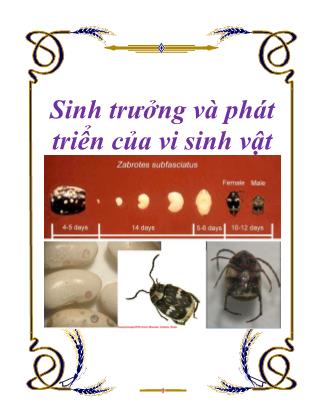 Sinh trưởng và phát triển của vi sinh vật