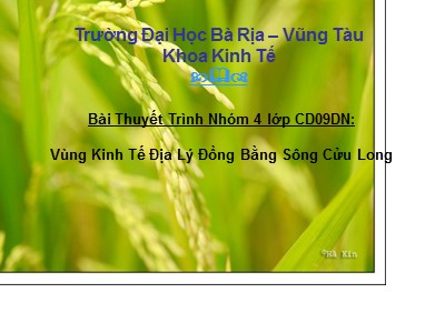 Vùng kinh tế địa lý đồng bằng sông Cửu Long