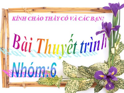 Vùng văn hóa Nam Bộ