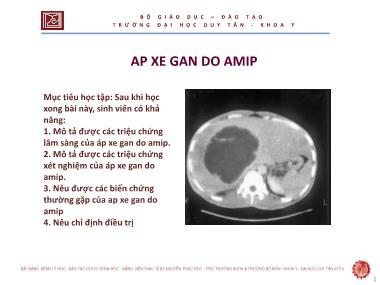 Bài giảng Áp xe gan do amip (Hepatic Amebiasis) - ThS. Nguyễn Phúc Học