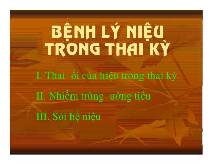 Bài giảng Bệnh lý niệu trong thai kỳ