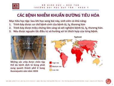 Bài giảng Các bệnh nhiễm khuẩn đường tiêu hóa - ThS. Nguyễn Phúc Học