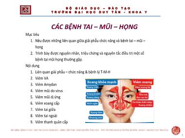 Bài giảng Các bệnh tai–mũi–họng - ThS. Nguyễn Phúc Học