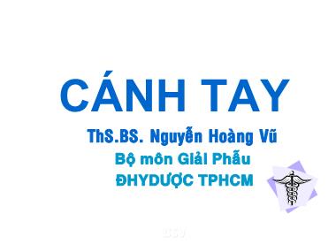 Bài giảng Cánh tay - ThS.BS. Nguyễn Hoàng Vũ