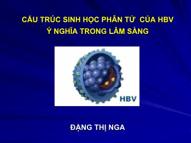 Bài giảng Cấu trúc sinh học phân tử của HBV ý nghĩa trong lâm sàng - Đặng Thị Nga