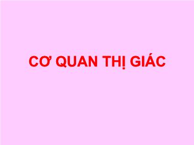 Bài giảng Cơ quan thị giác - Lê Hồng Thịnh