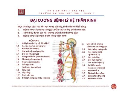 Bài giảng Đại cương bệnh lý hệ thần kinh