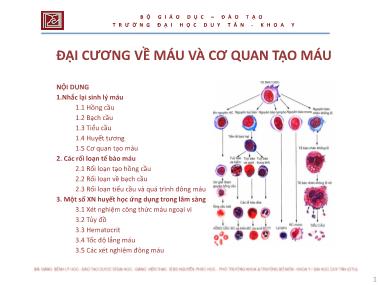 Bài giảng Đại cương về máu và cơ quan tạo máu - ThS. Nguyễn Phúc Học