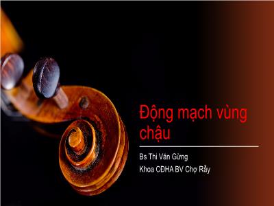 Bài giảng Động mạch vùng chậu - Thi Văn Gừng